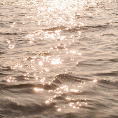 andantegrazioso: Water stars | stokrotkapolna