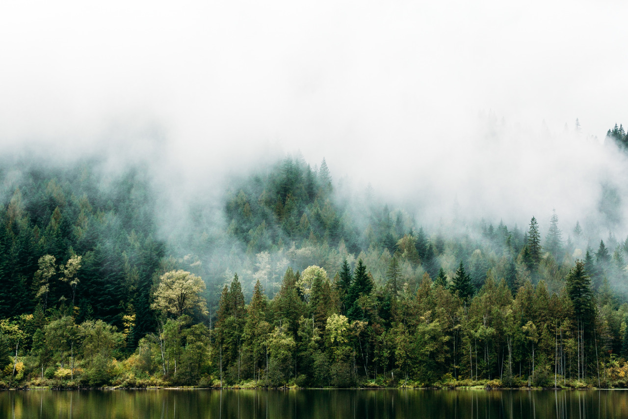 A Nature Blog