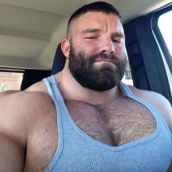 linkingiantmorphs:  2015-129“It’s not easy to drive with these big pecs, but they’re a lot better than airbags.” (thanks to @londonboy45  for the legend 🙂)(facebook)