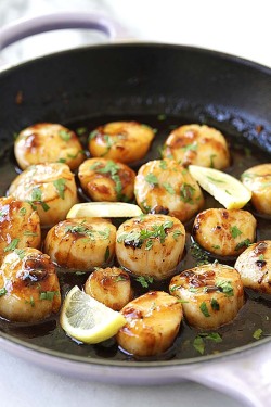 savorytoothgirl:    Honey Sriracha Scallops   Mmmm&hellip;..