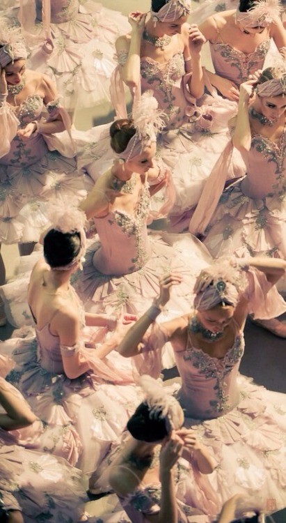 vintagepales2: ‘Le Corsaire’ - Mikhailovsky Ballet  by  Nikolai Krusser.