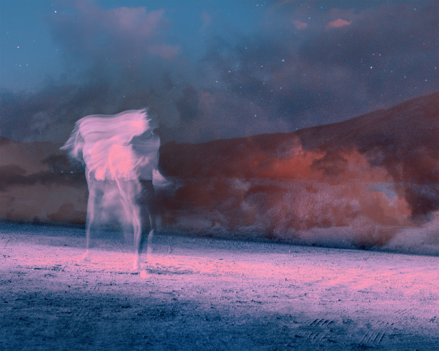 night echo