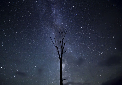 Perseid Meteor Capture