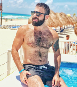 Hairy on Holiday