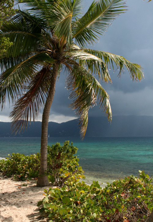 breathtakingdestinations:  British Virgin Islands - Caribbean (by anoldent)  xx