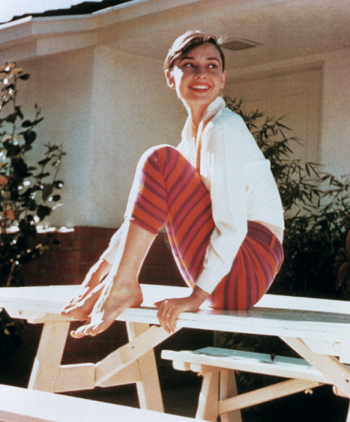 audreyandmarilyn:Audrey Hepburn, 1958.