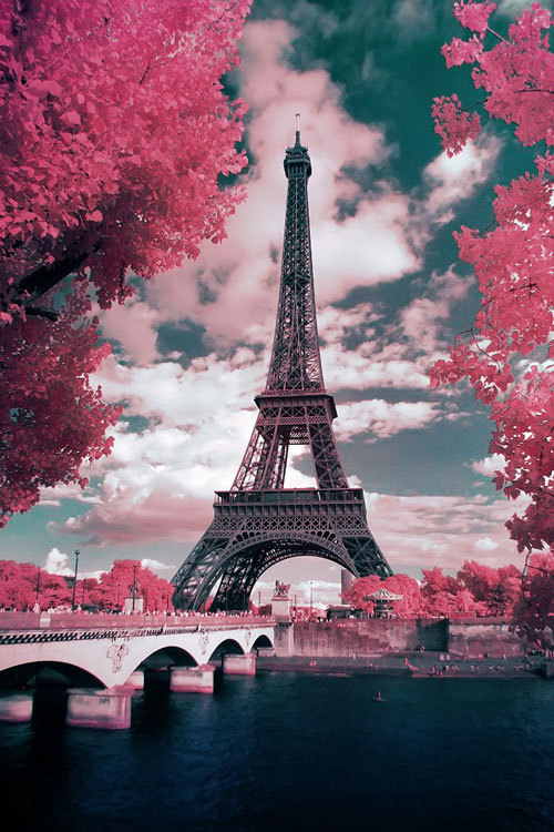 earthyday:  Paris © Olivier Jolly 