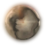 suckhead