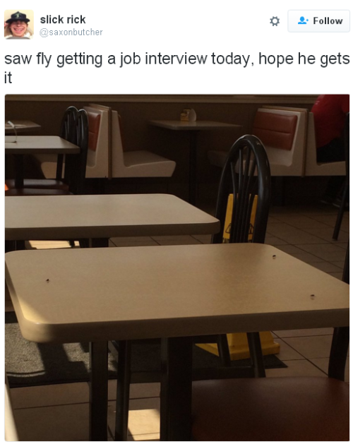 insanityitseems:Me, if I got any job interviews