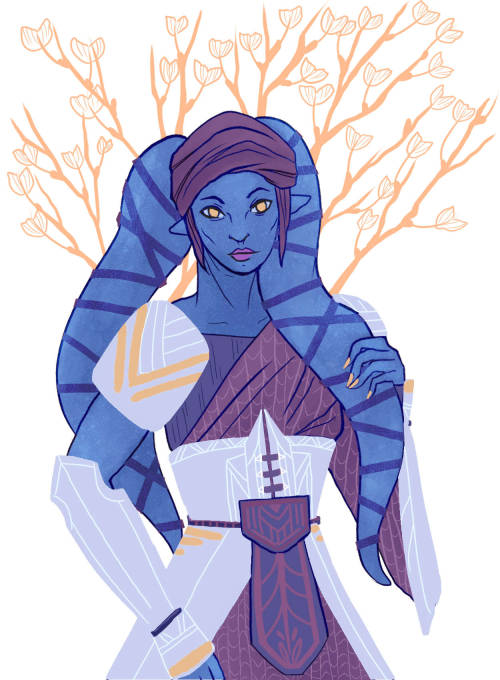It’s always nice to redesign some armor for Aayla.