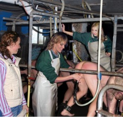 LOVE IT, AN ALL MALE MILKING FARM.  BET