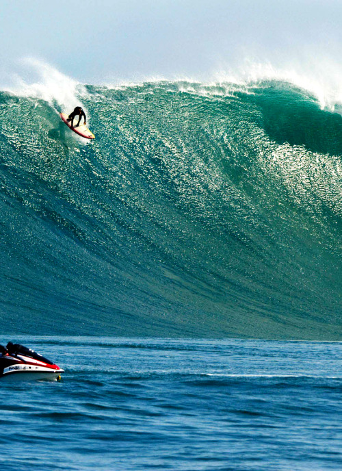 highenoughtoseethesea:  Grant Baker at Dungeons You can see the ski in the lower left corner, but Grant paddled into this monster.    Bucket list