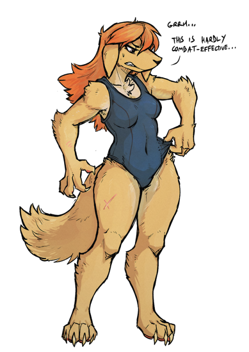 dogge swimsuit