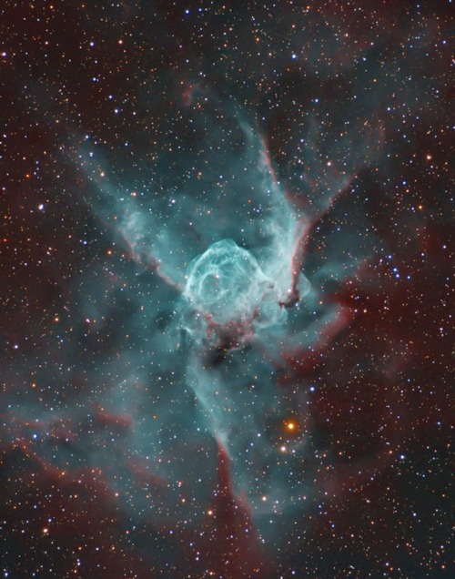 the-wolf-and-moon - NGC 2359, Thor’s Helmet