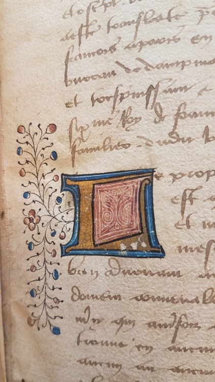 Ms. Codex 910 - DecameronThis manuscript is a French translation, by the humanist Laurent de Premier