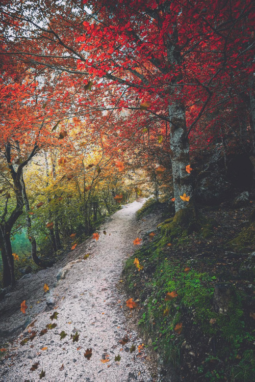 lsleofskye:Königssee, Bayern, Germany | ilkinkaracan
