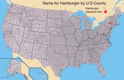 cum-vaper: rad-ghost-dad:   datarep: Name for Hamburger by U.S County yo east half of america why you got so many counties   Gerrymandering  