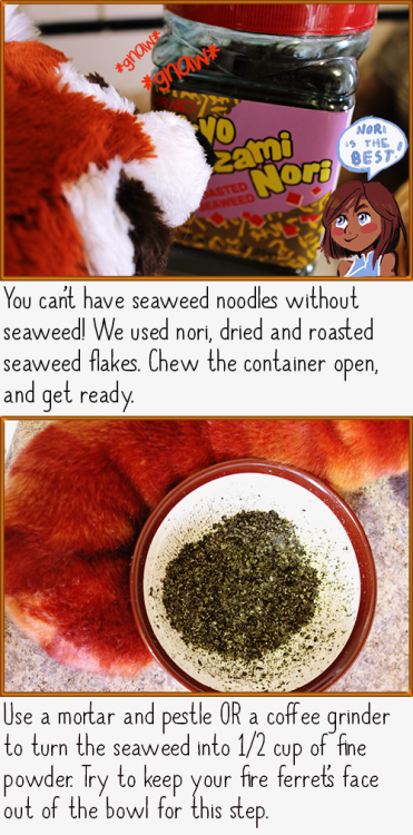 stuffinfluffcooking:  It just so happens that we found ourselves a perfectly adorable Pabu plush AND a wonderful new food blog that features Avatar and other fandom-inspired recipes!  What else could we do?  StuffinFluff did the obvious and we tried