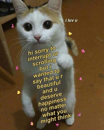 To Make Your Day Better