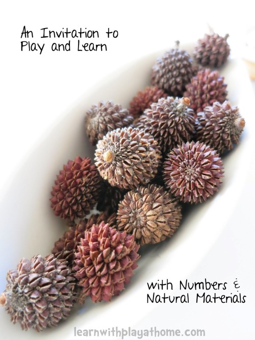 “An Invitation to Play and Learn with Numbers and Natural Materials”Things you’l