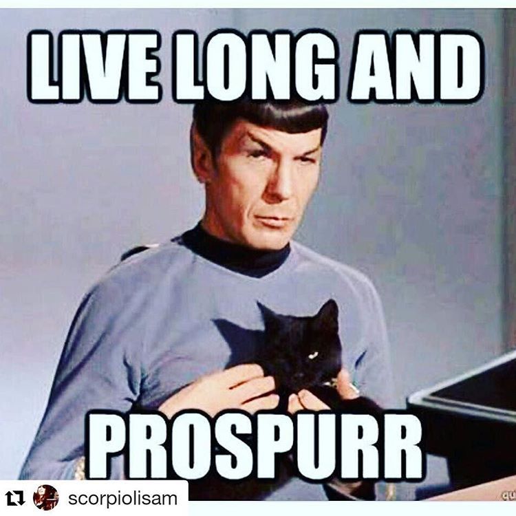 kittenskysong2:
“#Repost @scorpiolisam with @repostapp
・・・
#trekkie #trekkieforlife #spock #livelongandprosper #startrek #startrektos #startrekandcats #nerdpower #letyourgeekflagfly
”