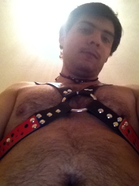The life of a bear cub!!! xD