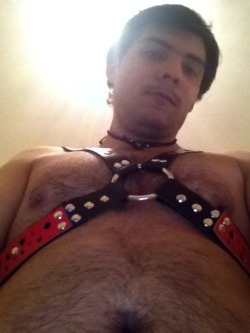 The Life Of A Bear Cub!!! Xd