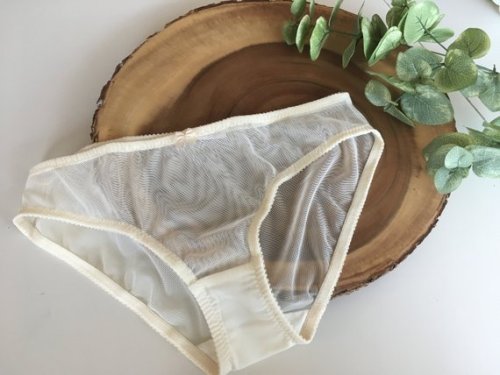 Sheer Full Coverage Panty in Ivory //ByShannonMarie