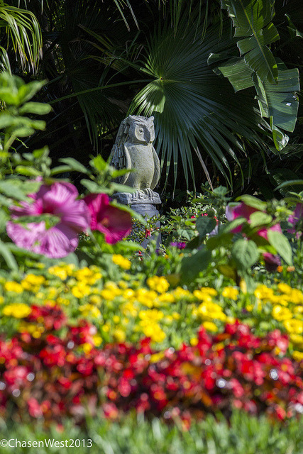 chasenwest:  Photographer: Chasen West Busch Gardens Conservation Fund: Make a Difference
