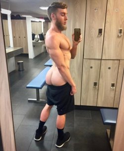 gayladsadventure:  For more of the best follow