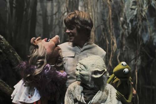 nkp1981:A long time ago in a swamp on Dagobah 