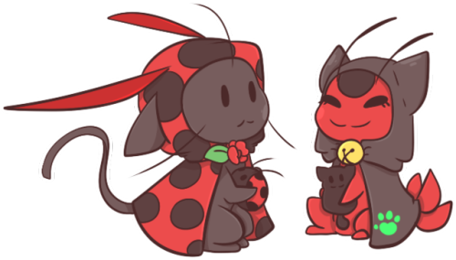inkyflowercrowns: K..Kwami’s