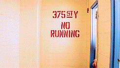 make me choosedehuai asked — the royal tenenbaums or rushmore 