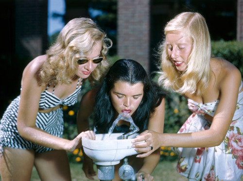 Girls in swimsuits sip from a water fountain in New York, July 1948.Photograph by B. Anthony Stewart