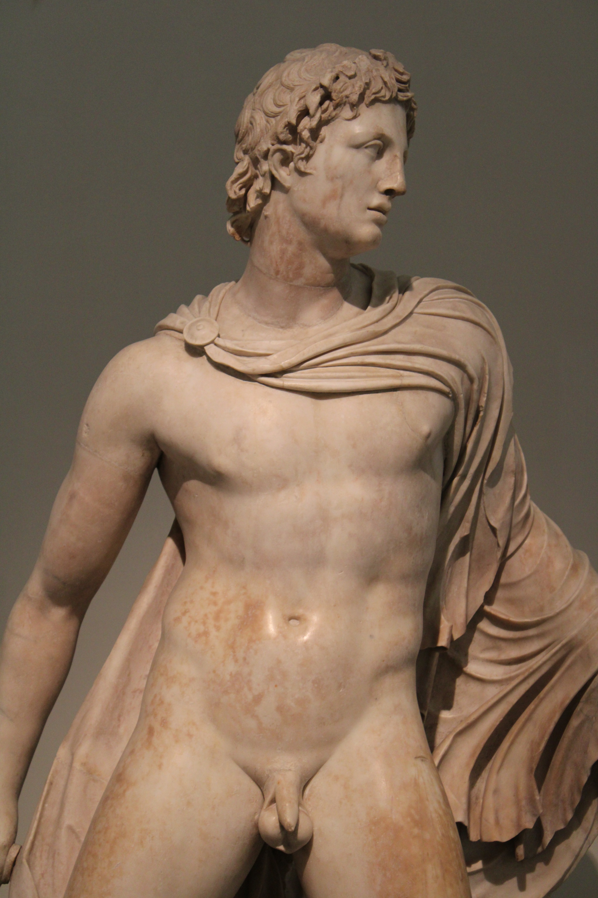 starpaintedskinmuse:Warrior, the so-called Protesilaos2nd century AD copy of a Greek