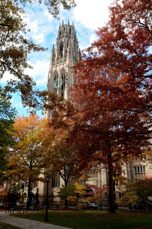 about-usa:Yale University -  New Haven - Connecticut - USA (by Patrick Franzis)