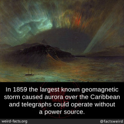 mindblowingfactz:  In 1859 the largest known