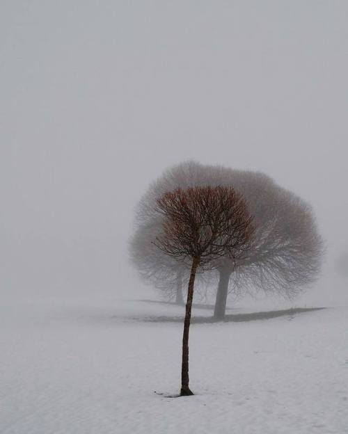 crossconnectmag:  Photography by Sandra Linnell Sandra Linnell is a 36 years old self-taught photographer, based in Stockholm, Sweden. She shoots a lot of nature and lifestyle photography using an Olympus OMD EM-10 and is an ambassador of the brand. 