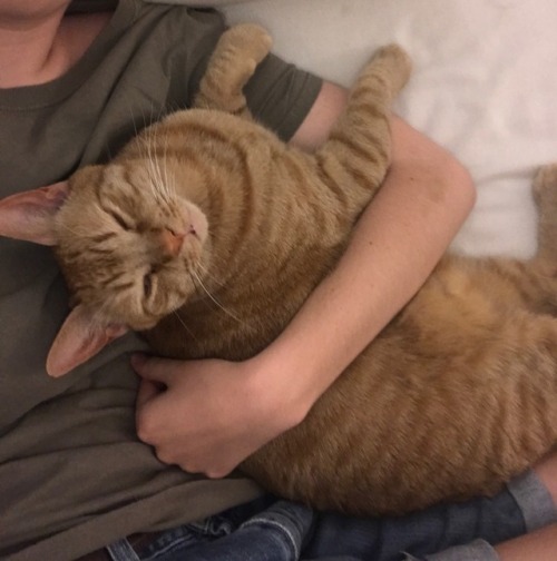 eddie cuddle moments