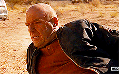 heisenbergchronicles:  5x14: Ozymandias My favorite part of this episode.