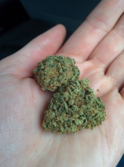 weedporndaily:  psychedelicguru:  White Russian anyone??😍 