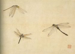 virtual-artifacts:Dragonflies from an album