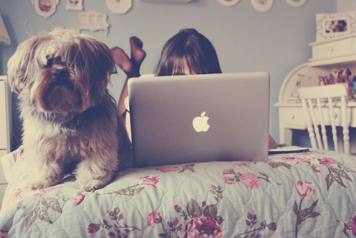 curiossity:  ♫ 