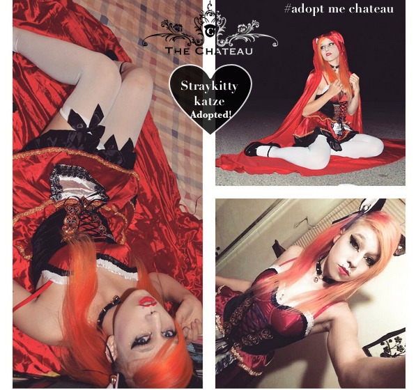 catgirlmanor:  The winner of our #adoptmechateau Halloween contest goes to Straykittykatze