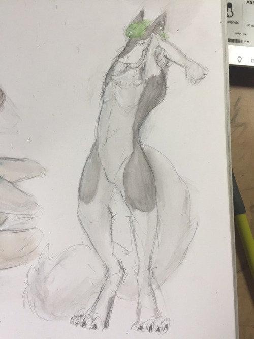 Furry drawings part 5