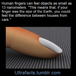 ultrafacts:  Mark Rutland, Professor of Surface