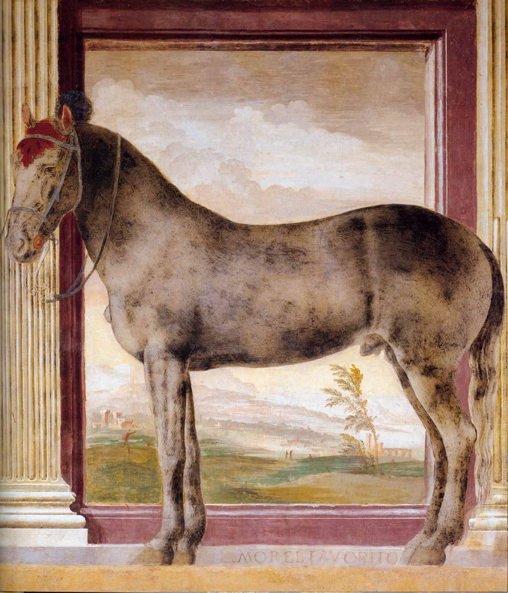 loverofbeauty:  Giulio Romano:  The Horse “ Morel Favorito”   (c.1526)The Horse “Morel