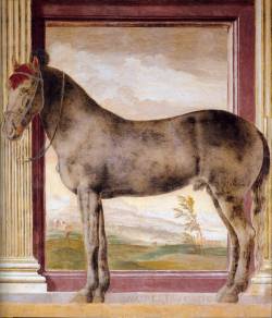 Loverofbeauty:  Giulio Romano:  The Horse “ Morel Favorito”   (C.1526)The Horse “Morel