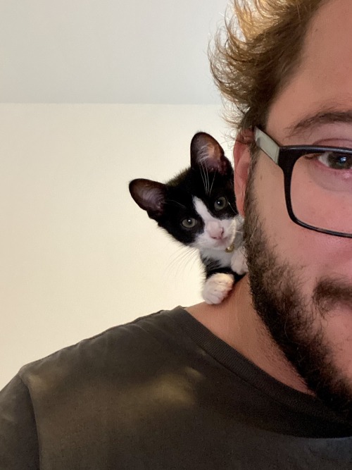 hitmewithcute