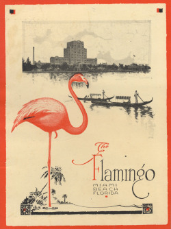 oldflorida:Flamingo Friday